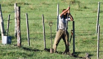 Aumentó un 9,9 % la prestación por desempleo: cuánto cobra un trabajador rural