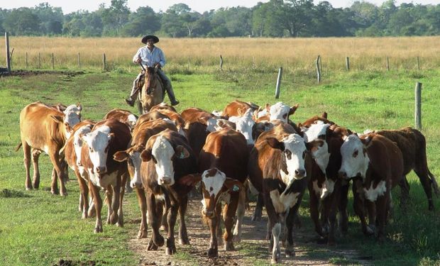 Entidades del campo respaldaron la reforma laboral y esperan su aprobación
