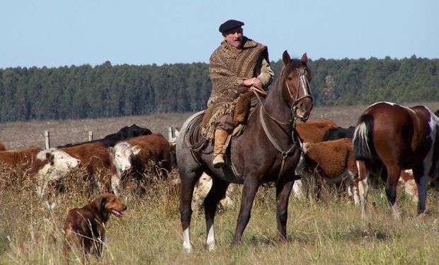 Beneficios sociales: prestaciones de naturaleza jurídica de seguridad social, no remunerativas, no dinerarias, no acumulables ni sustituibles en dinero.