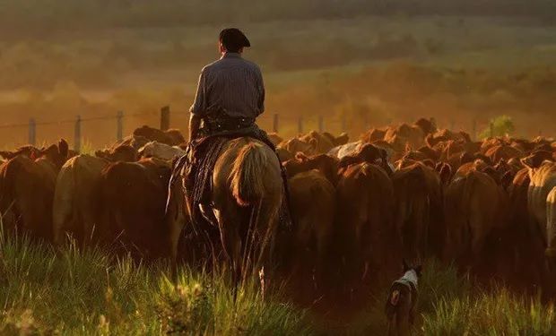 Trasladan la fecha del Día del Trabajador Rural: por qué se tomó la medida