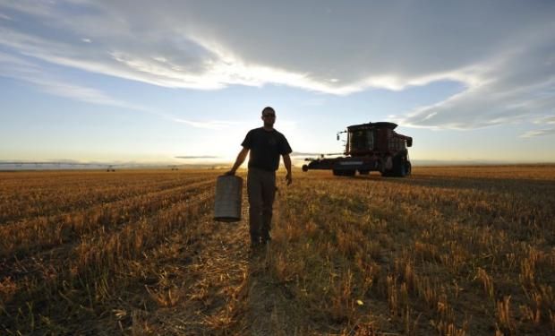 Ámbito de aplicación del Régimen de Trabajo Agrario.