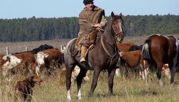 Beneficio jubilatorio: régimen de Seguridad Social para trabajadores rurales