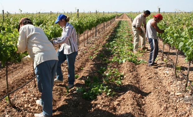 Desde Arizmendi señalan que son de aplicación al trabajador agrario las licencias previstas por la Ley de Contrato de Trabajo.