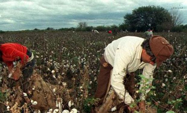 Agricultura asistirá a productores de Jujuy por la emergencia agropecuaria
