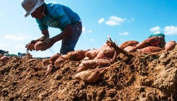 Trabajador rural y examen preocupacional: las obligaciones del empleador