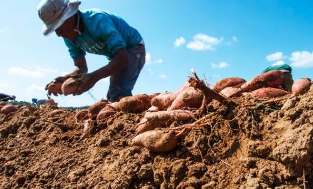 Todo sobre el trabajador rural y examen preocupacional.