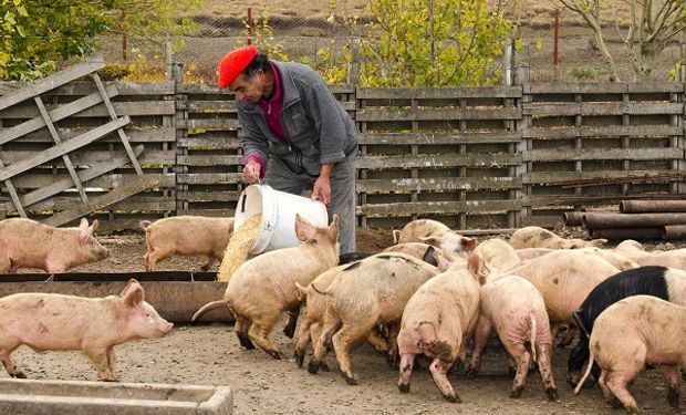 Campo: 31 cadenas agroalimentarias generan más de 2 millones de puestos de trabajo