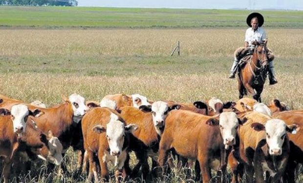 Actualizan valores mínimos y máximos de la prestación por desempleo de agrarios.