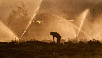 Delegado en el régimen de trabajo agrario: número y créditos de horas laborales pagas