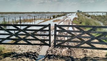 Exclusión de retención de impuesto a la ganancia para productores agropecuarios