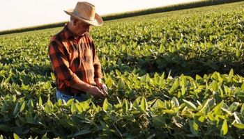 Licencia parental en el ámbito rural: consideraciones a tener en cuenta