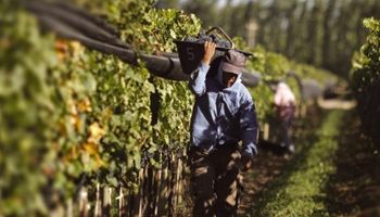 Ley 26727: Régimen de Trabajo Agrario y modalidades de contratación permanente