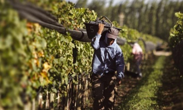Régimen de Trabajo Agrario: modalidades de contratación permanente.