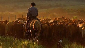 Cómo abonar el salario de trabajadores rurales lejos de zonas urbanas