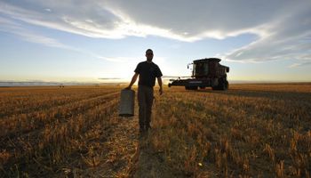 Seguro de desempleo en el ámbito rural: mirá la nueva reglamentación