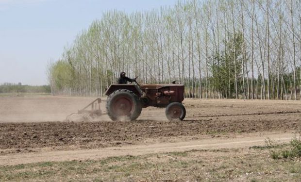 Todo sobre la tercerización laboral en el ámbito rural.