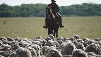 Prestaciones por desempleo de trabajadores rurales: mirá el nuevo reglamento