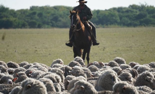 Nuevo reglamento prestaciones por desempleo trabajadores rurales.