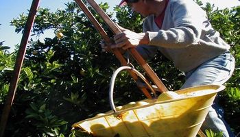 Trabajo rural: cuáles son las obligaciones del empleador en higiene y seguridad