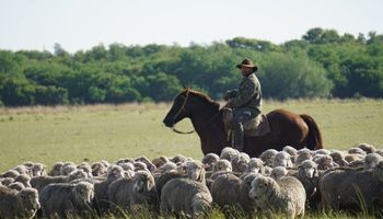 Todo sobre ausencias y licencia por enfermedad en el trabajo rural