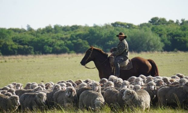 Ausencias y licencia por enfermedad en el trabajo rural .