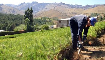 Coronavirus: el campo solicitó en una carta medidas impositivas para enfrentar el contexto