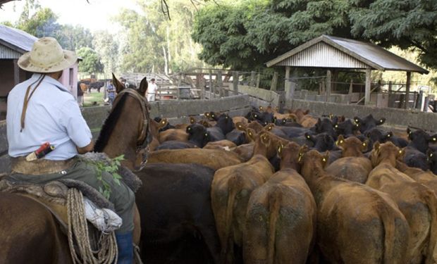 Trabajador rural: todo sobre el período de prueba en el régimen agrario  