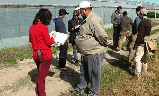 Trabajo conjunto: con 50 fiscalizaciones evitaron más de 440 casos de explotación en el ámbito rural