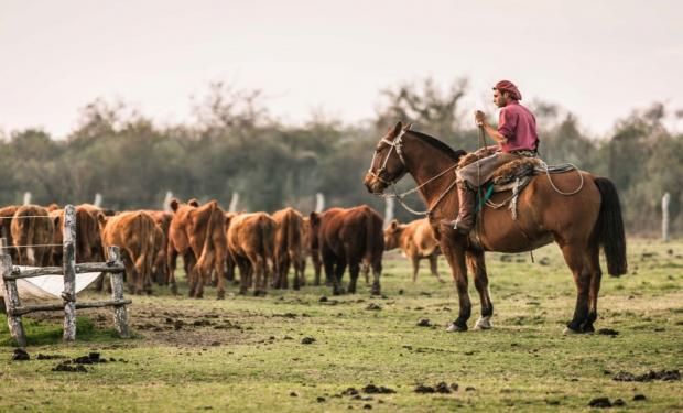 Modalidades de contratación en el Régimen de Trabajo Agrario.