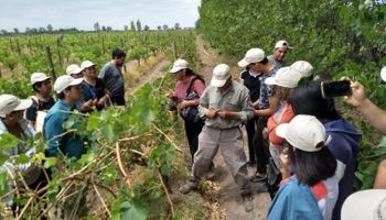 Por qué se celebra hoy el Día del Trabajador Rural