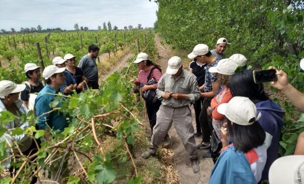 Por qué se celebra hoy el Día del Trabajador Rural | Agrofy News