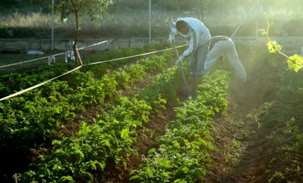 Trabajadores extranjeros en el ámbito rural.