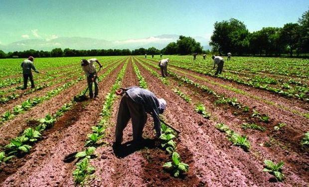 Higiene y Seguridad en el Régimen Agrario: aspectos a tener en cuenta