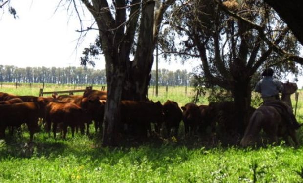 Contratación temporaria de trabajadores de la actividad agraria.