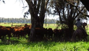 ¿Cómo es la contratación temporaria de trabajadores de la actividad agraria?
