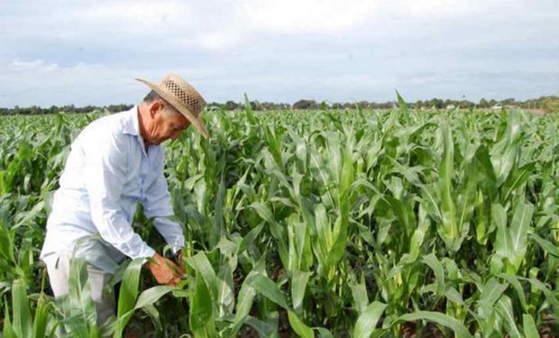 Desde el Departamento Técnico Legal Laboral de Arizmendi detallan las licencias especiales del trabajador rural