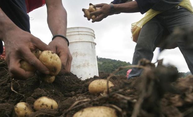 La remuneración del trabajador agrario ha sido objeto de importantes cambios.