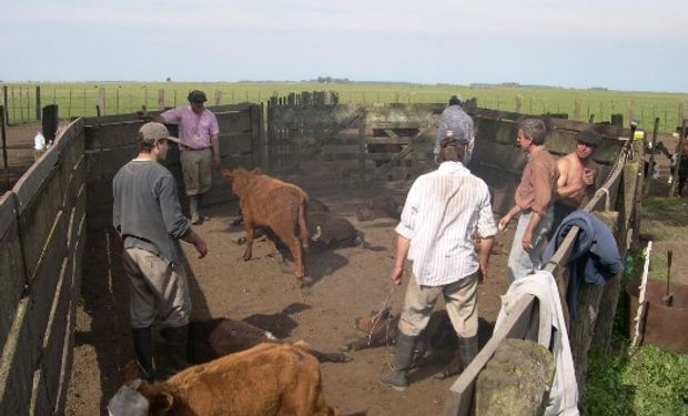 La Jornada de Trabajo en el régimen agrario.