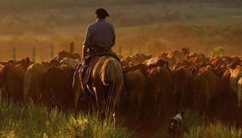 Buenos Aires y RENATRE acordaron mejorar la calidad del empleo rural y contribuir al arraigo en el interior