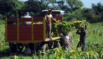 Trabajador rural: la prestación por desempleo aumentó un 3 % y cobrarán hasta $ 356.895