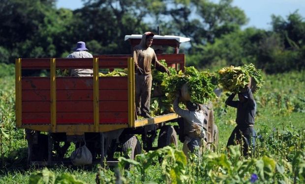 Trabajador rural: la prestación por desempleo aumentó un 3 % y cobrarán hasta $ 356.895