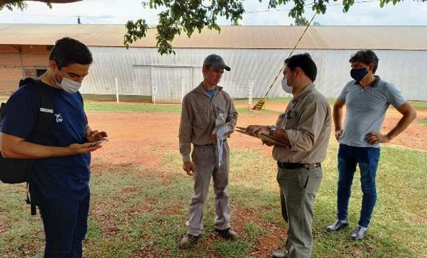 Trabajadores rurales: la nueva estrategia para detectar la informalidad en el sector