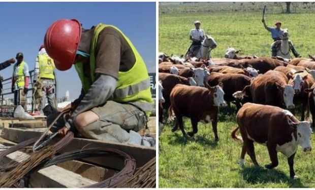 Las actividades que mostraron mayor vocación por utilizar el programa son la construcción y el agro.