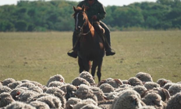 Fijan suma de fin de año para trabajadores agrarios.