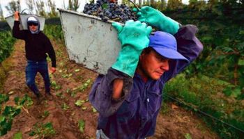 Trabajadores agrarios recibirán un bono de fin de año de $2.500