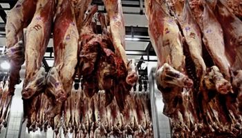 Trabajadores de la carne se movilizarán a Agroindustria