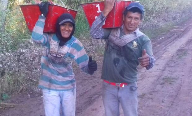 Trabajadores golondrinas: la odisea de volver a casa durante la pandemia por coronavirus