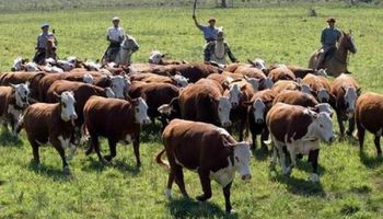 Claves de la integración de agricultura y ganadería para potenciar la producción