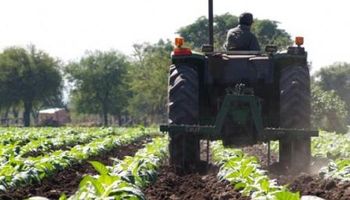 Trabajadores rurales: Régimen de seguridad social y beneficio jubiltatorio