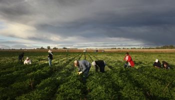 ¿Es aplicable el trabajo rotativo o por equipo en el ámbito rural?
